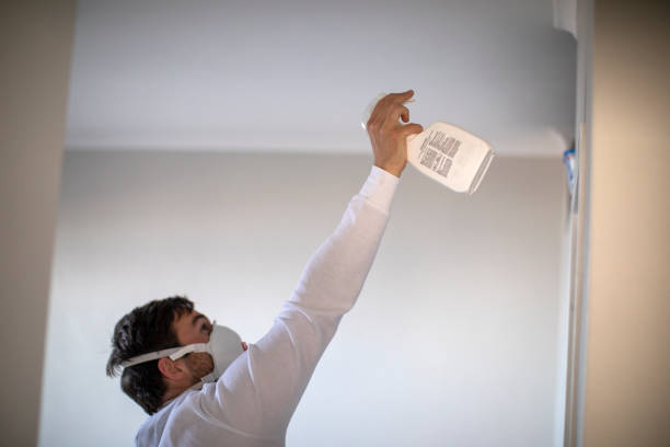 Best Emergency Mold Remediation in Emporia, VA